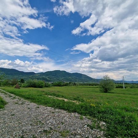 Casa Bunicilor Din Oncesti Villa Buitenkant foto