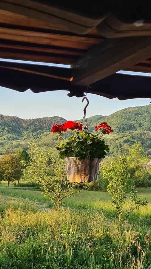 Casa Bunicilor Din Oncesti Villa Buitenkant foto