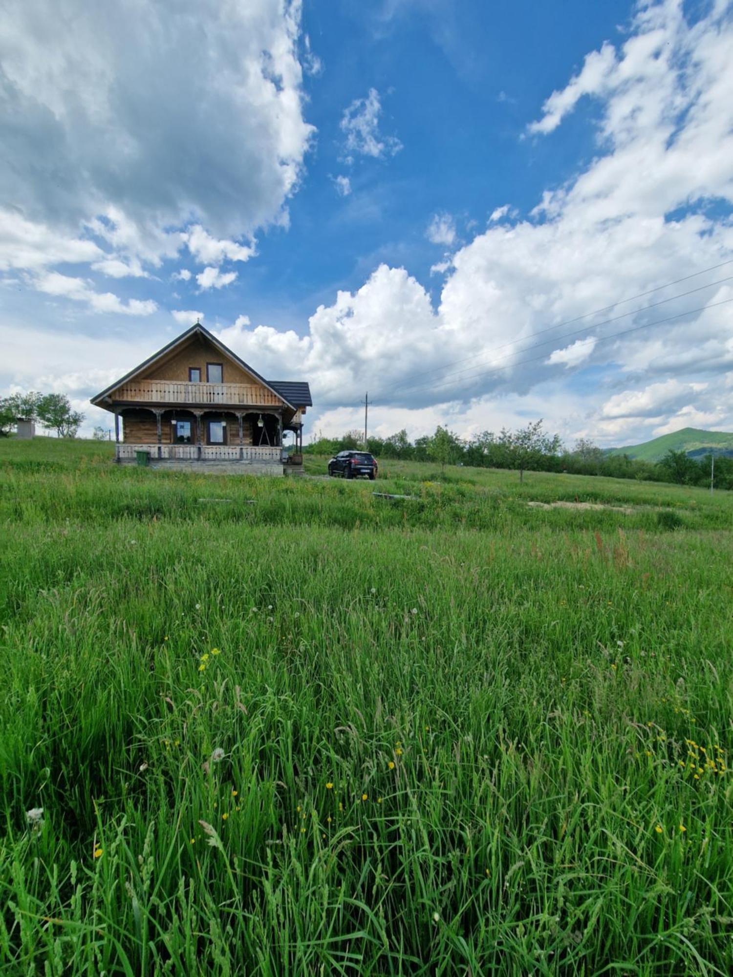 Casa Bunicilor Din Oncesti Villa Buitenkant foto