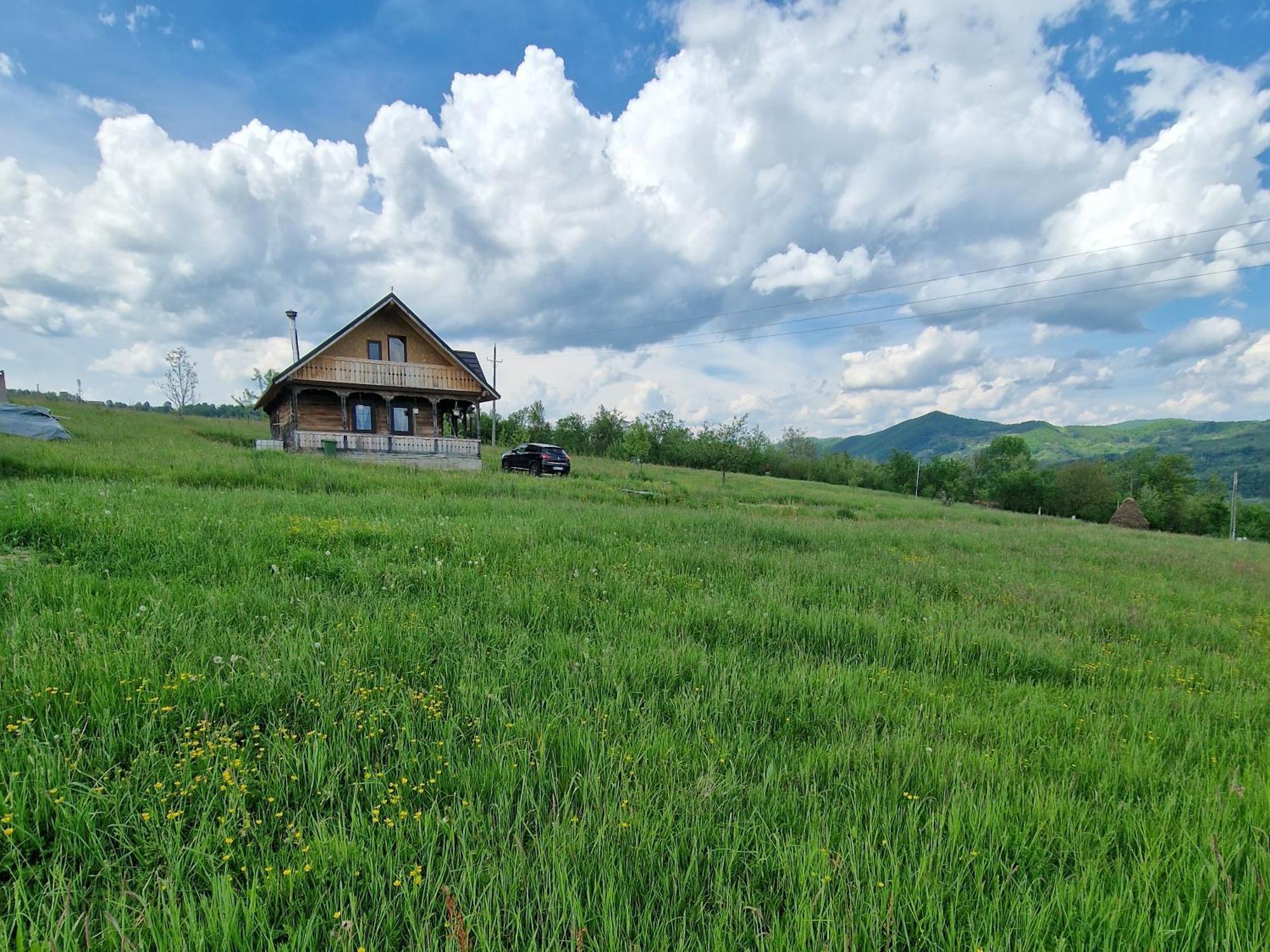Casa Bunicilor Din Oncesti Villa Buitenkant foto